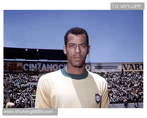 77号足球明星是谁揭秘 他的传奇故事与辉煌成就