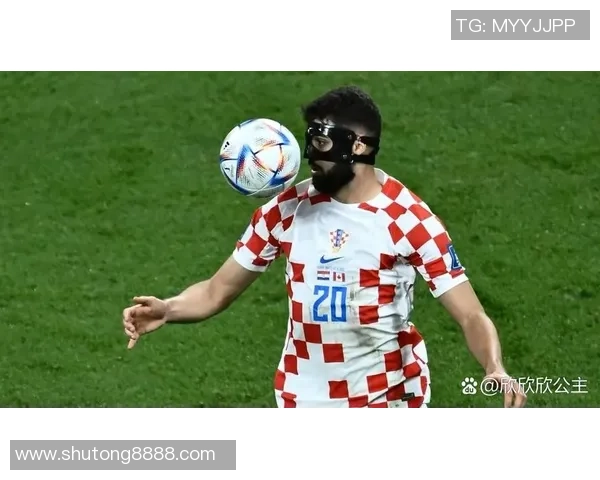 动物足球球星大联赛：赛场上的萌趣与速度争锋对决